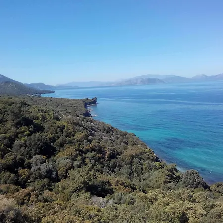 Art غوزيلْتْشاملِ