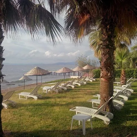 Hotell Art 3*